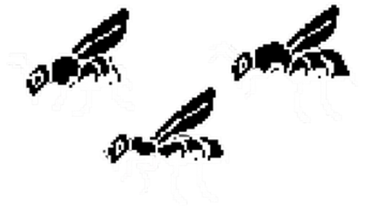 Norbin: Operação Colmeia Image