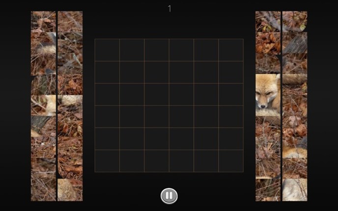 Photo Puzzle Snap screenshot