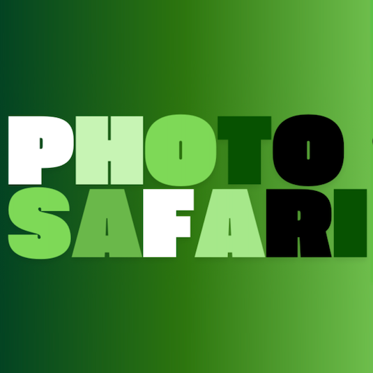 Games like Photo Safari