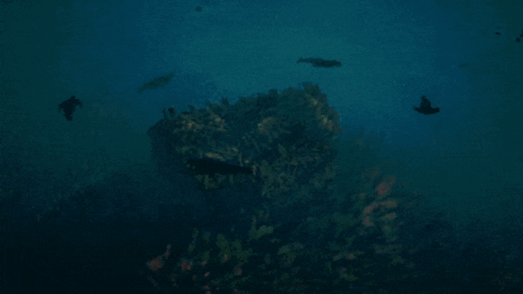 10 HOURS BELOW screenshot