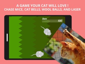 Best Game for Cats Image