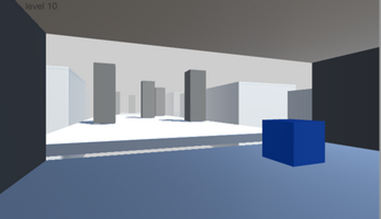 Cuboid Image