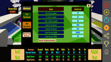 PinBall Cricket Image