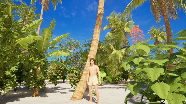 Maldives in Dream screenshot