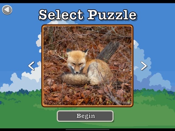 Photo Puzzle Snap screenshot
