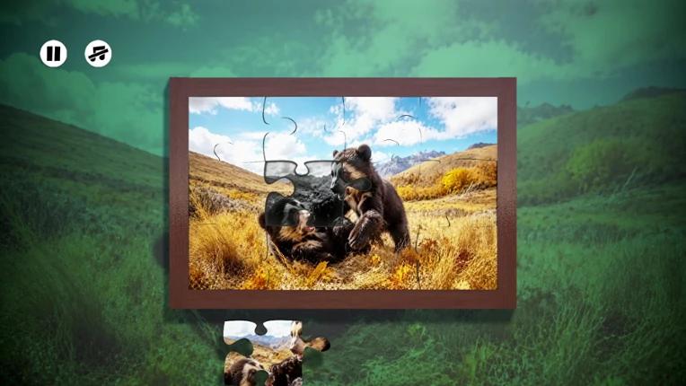 Puzzles Bears Image
