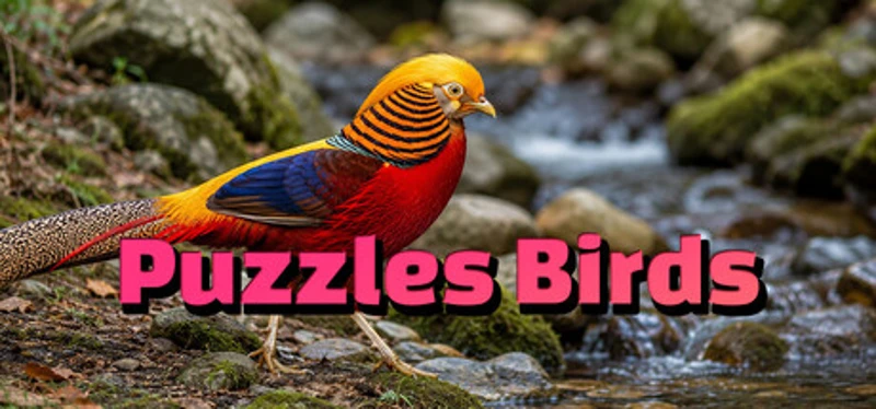 Puzzles Birds Image