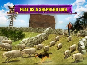 Shepherd Dog Simulator 3D Image