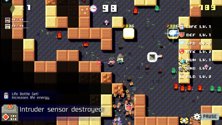 DUNGEON RAZE screenshot