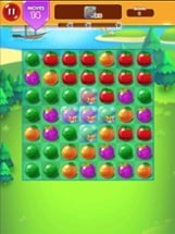 Fruit Match Frenzy-Fruit Crash Image