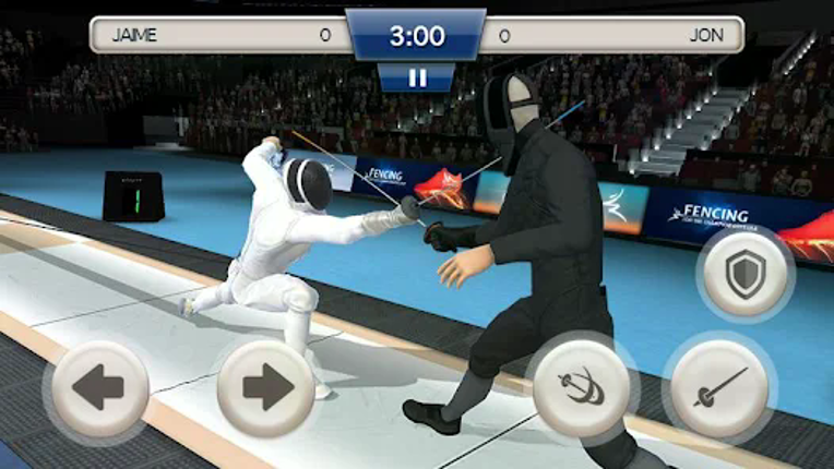 Fencing Swordplay 3D Image
