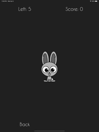 Hit The Bunny Image
