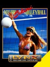 Malibu Bikini Volleyball Image