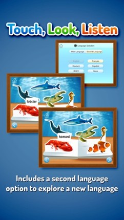 Zoo Animals ~ Touch, Look, Listen Image