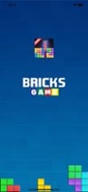 Bricks and Blocks Game Image