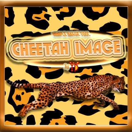 Cheetah Image Image
