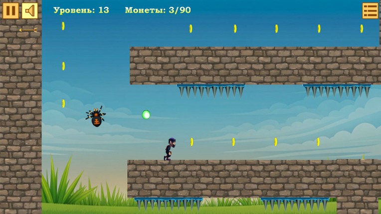 Ninja screenshot