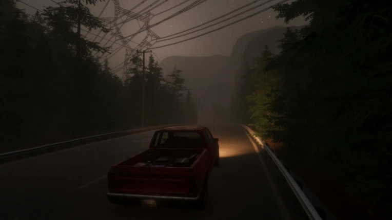 Sleep Walk Image