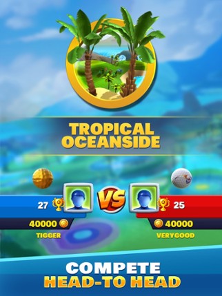 Super Shot Golf Image