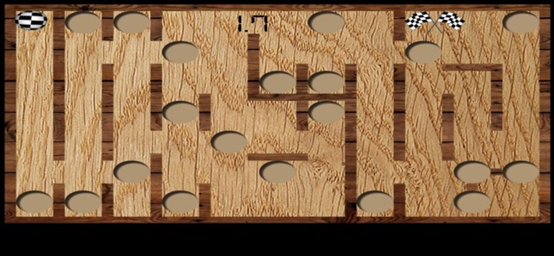 Wood Maze Deluxe screenshot