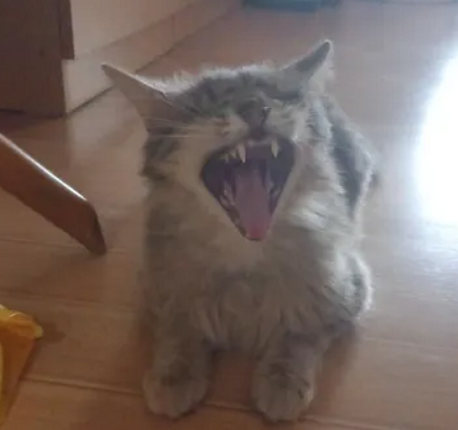 Crimson Cicadas screenshot