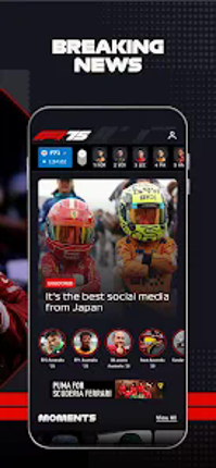 Formula 1® screenshot