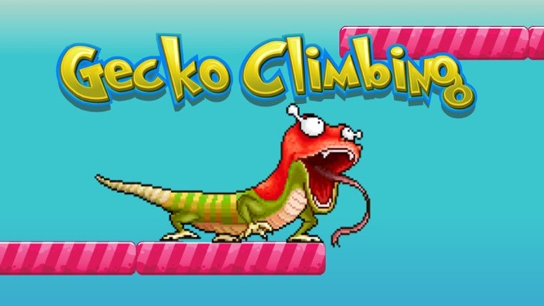 Gecko climbing wall - Lizard Reptiles for rango Image