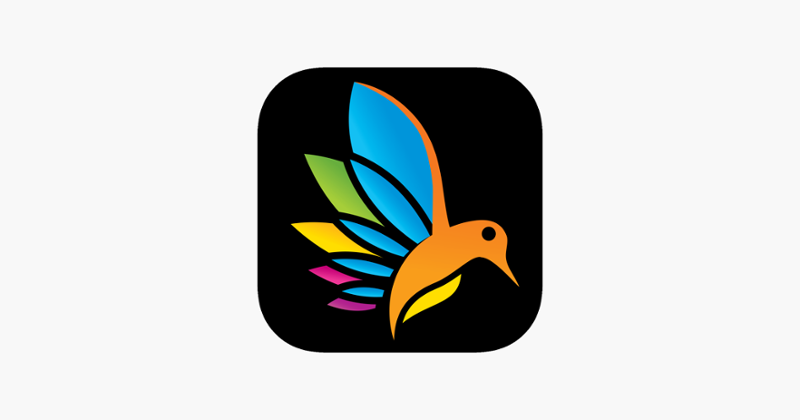 Ink: Zen Adult Color by Number Image