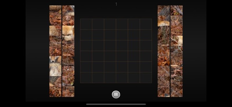 Photo Puzzle Snap screenshot