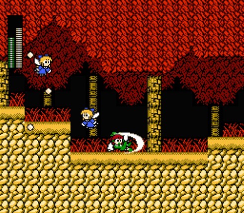 Touhou Rock Maiden FC Image