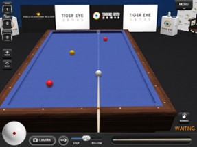 World Championship Billiards Image