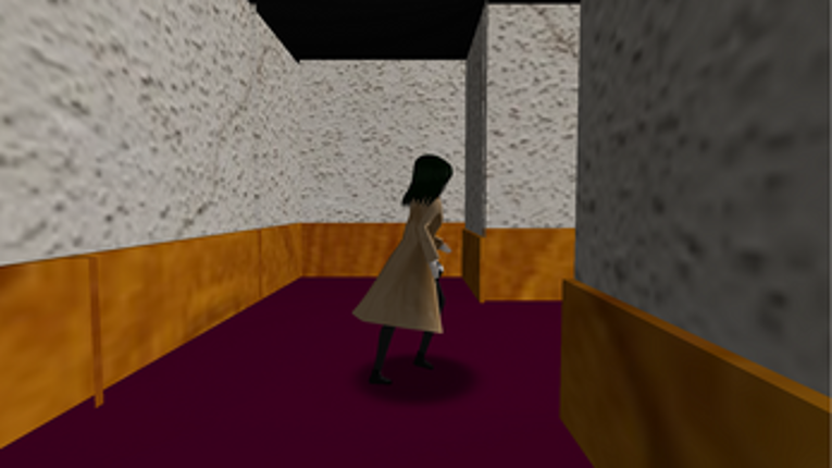 3Dmaze Image