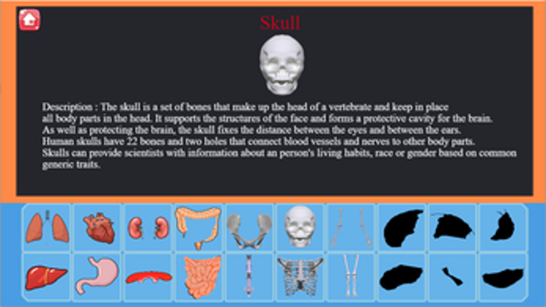 Anatomy Academy Image