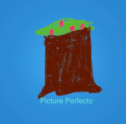 Picture Perfecto Image