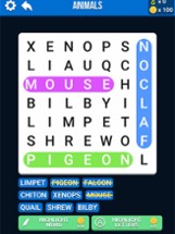 Word Search ?! Image