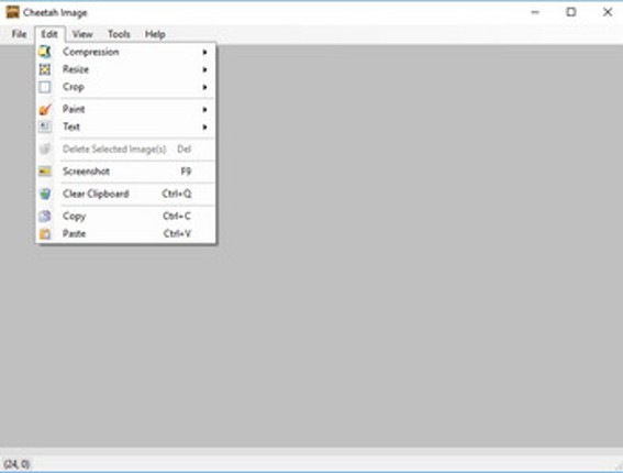 Cheetah Image screenshot
