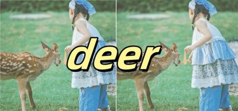 deer Image