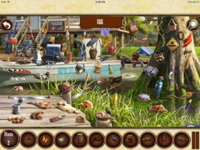 Free Hidden Objects:Hidden Agendas Mystery 5 Image