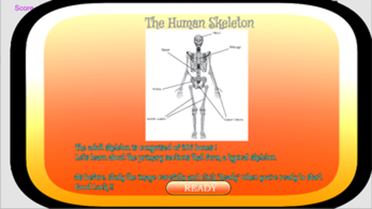Anatomy Academy Image