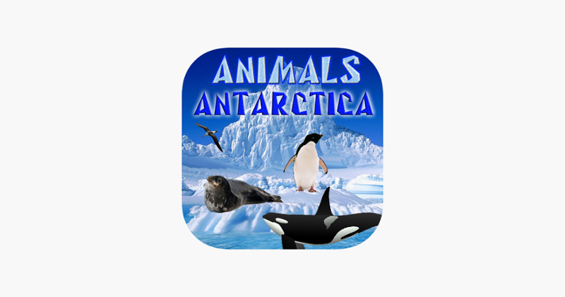Animals Antarctica Image