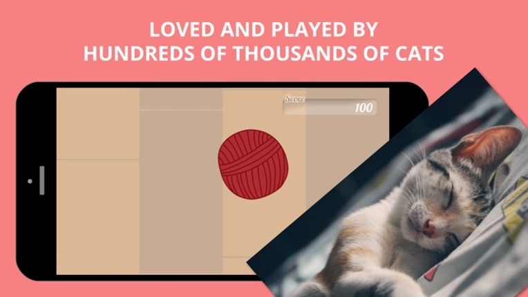 Best Game for Cats screenshot