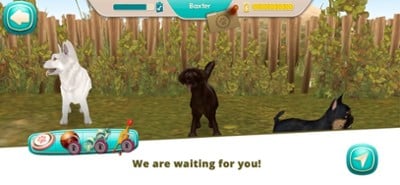 Dog Hotel - Play with pets Image