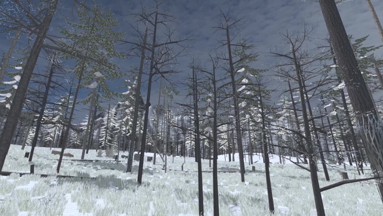 Forest Construction VR screenshot
