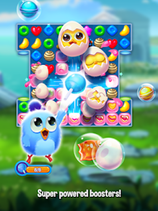 Bird Friends : Match 3 Puzzle screenshot