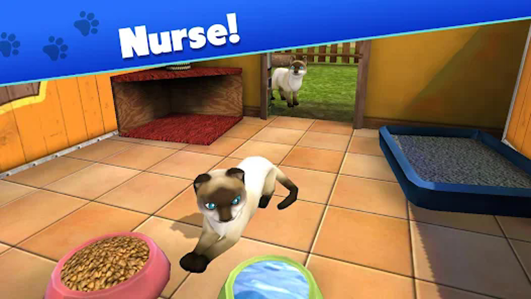 Pet World: My Animal Shelter screenshot