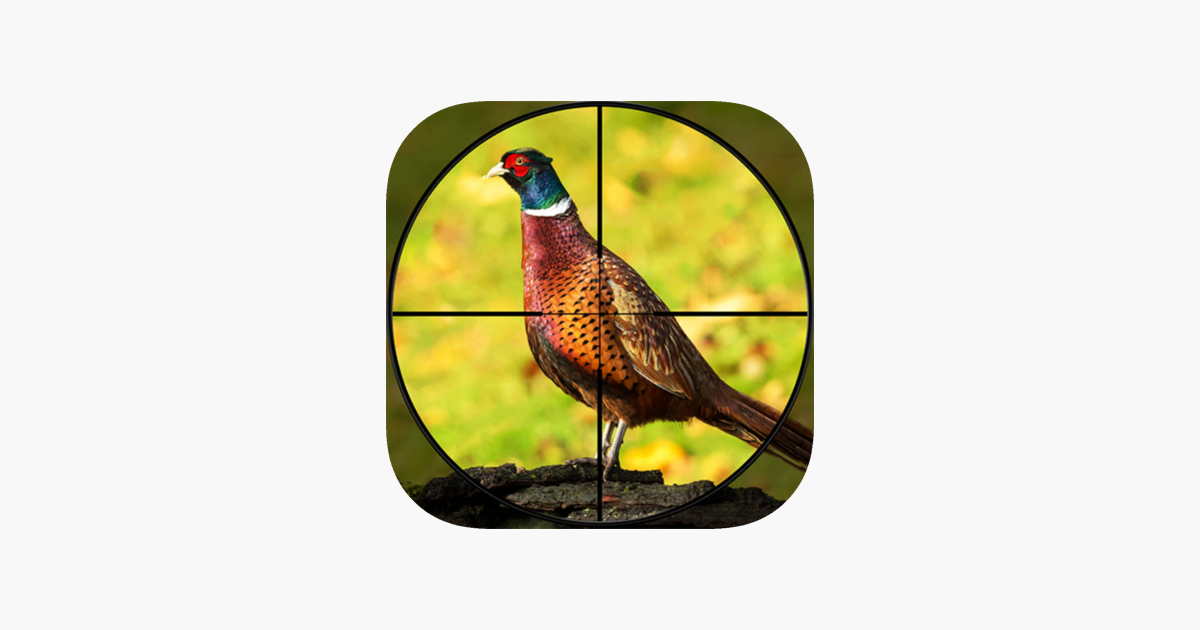 Games like Pheasant Bow Hunting Safari
