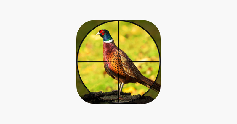 Pheasant Bow Hunting Safari Game Cover