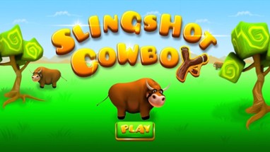 Slingshot Cowboy 3D Image