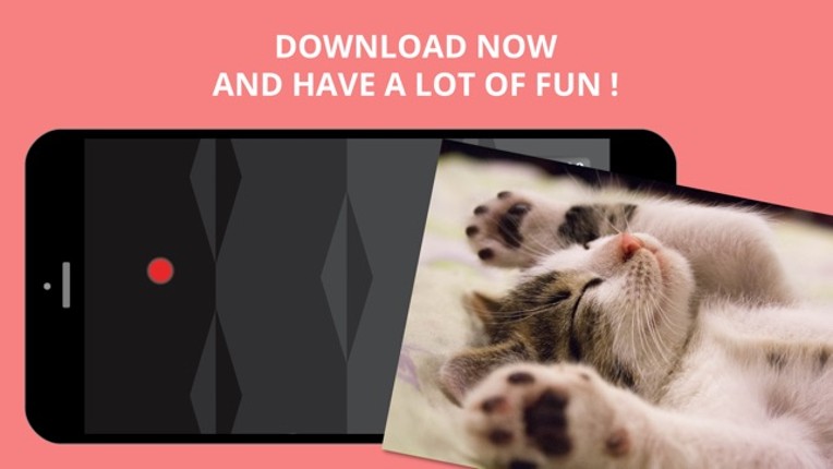 Best Game for Cats screenshot