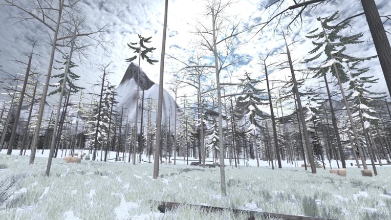 Forest Construction VR screenshot
